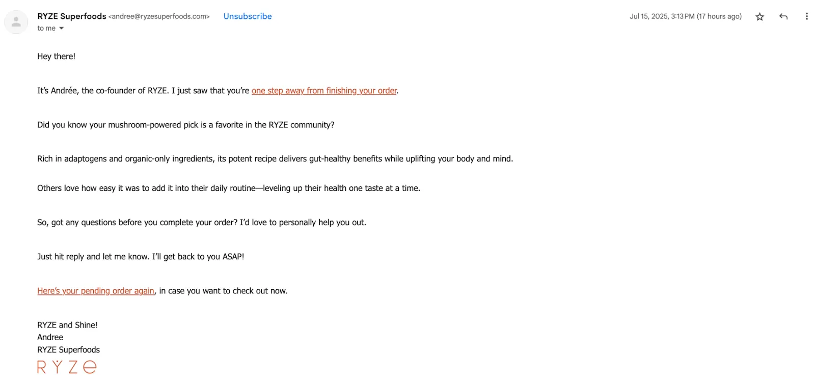Ryze által küldött email.