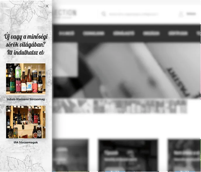 Termékkategória-ajánló „sidemessage” a főoldalon legalább 20 másodperce tétlenkedő új látogatók számára.