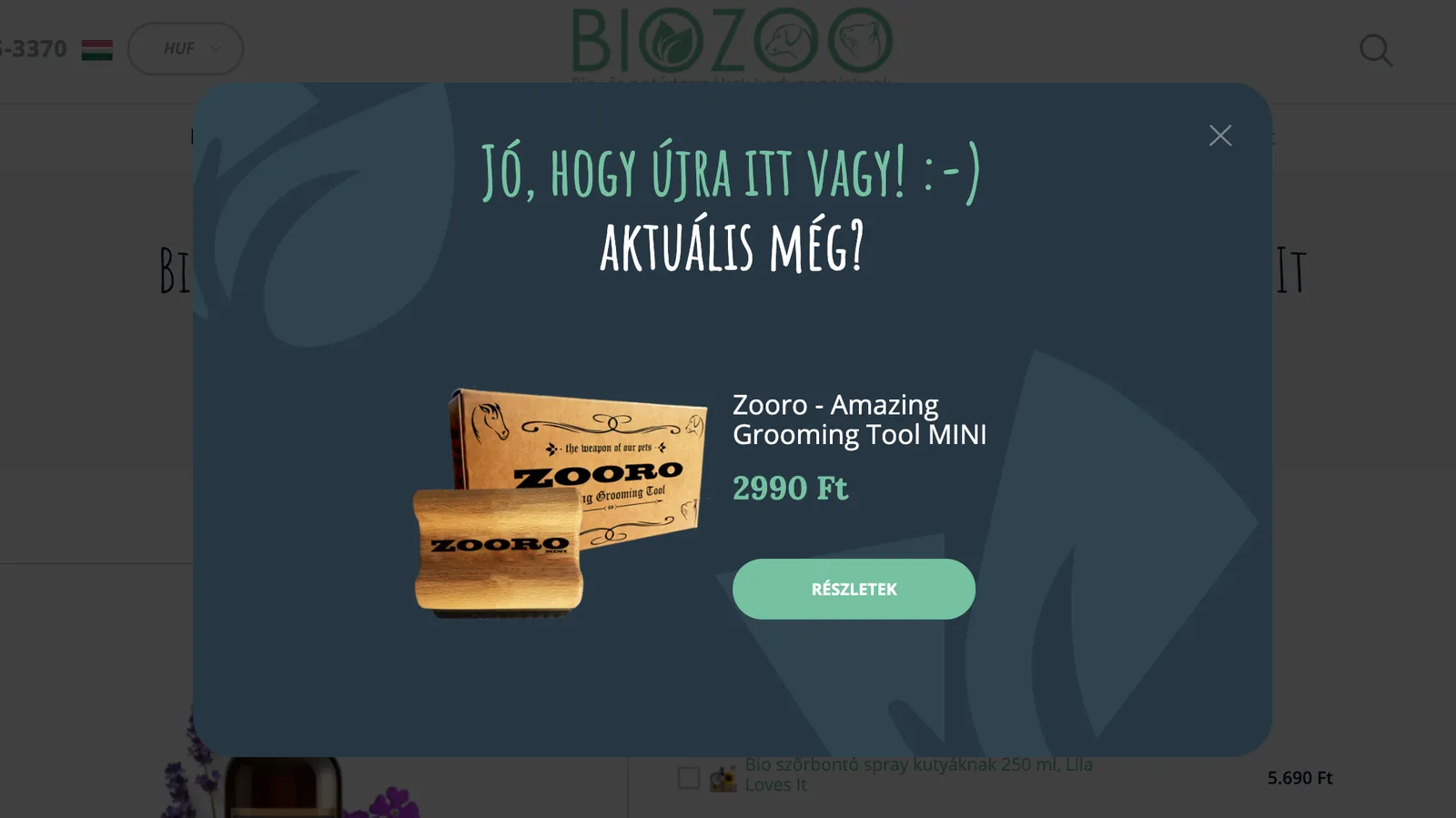 Illusztráció: Hogyan ért el a BioZoo közel 2 millió forint extra bevételt?