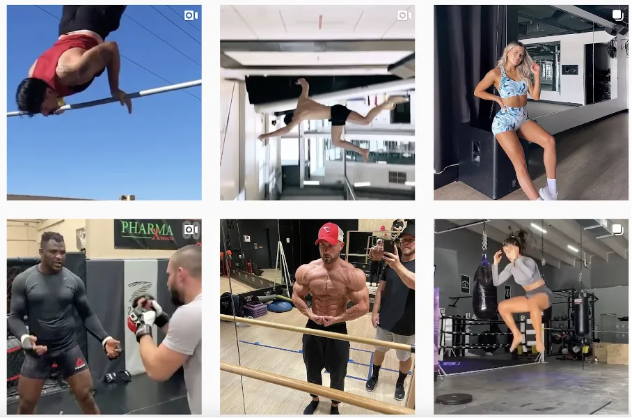 GymShark tartalmai