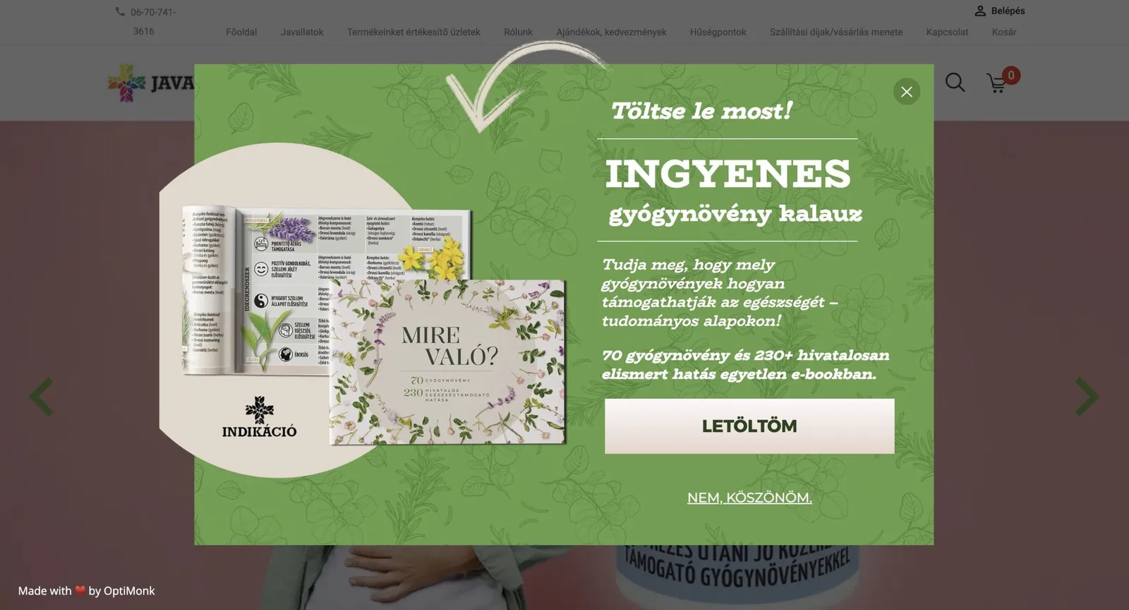 Ingyenes e-book ajánlat lead generáláshoz